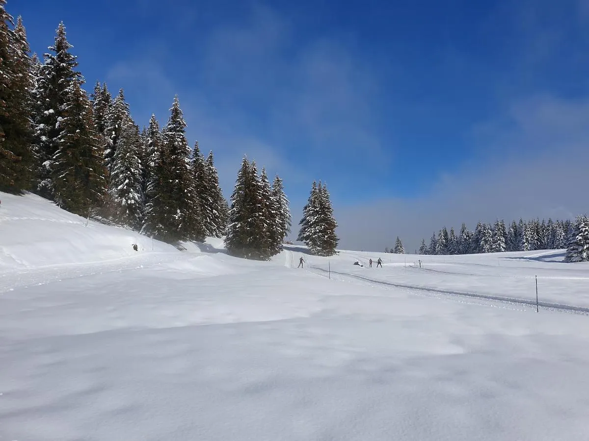 Le Chalet Theys France